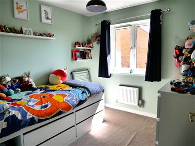 Picture 11
